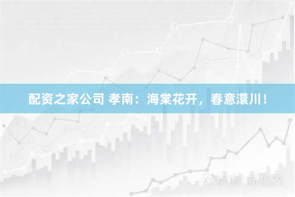 配资之家公司 孝南：海棠花开，春意澴川！