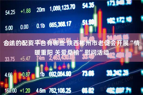 合法的配资平台有哪些 陕西彬州市老促会开展“情暖重阳 关爱桑榆”慰问活动